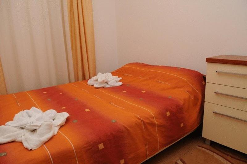 Northern Star Bansko Room photo